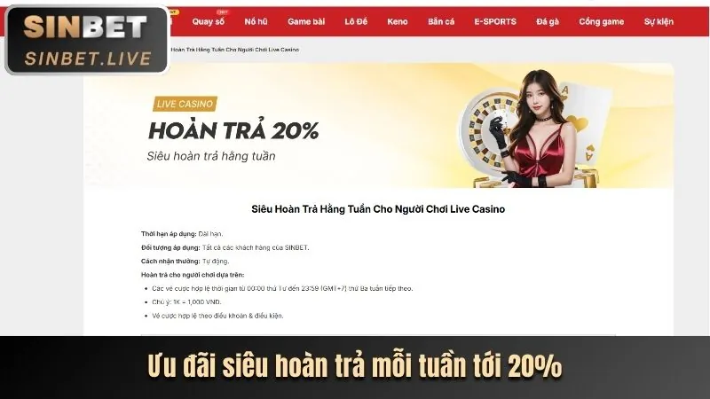 Cập nhật cá cược thể thao